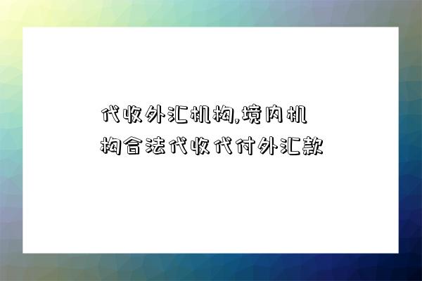 代收外匯機構,境內機構合法代收代付外匯款-圖1