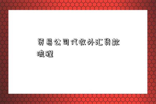 貿易公司代收外匯貨款流程-圖1