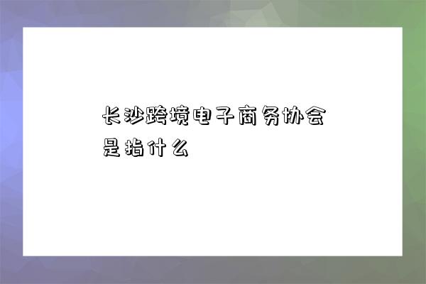 長沙跨境電子商務協會是指什么-圖1