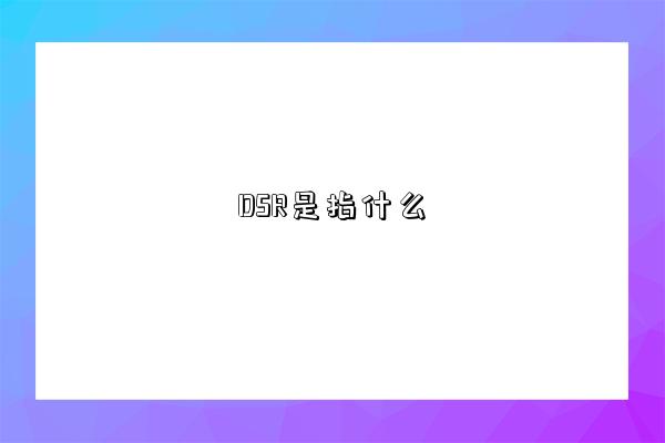 DSR是指什么-圖1