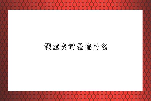 錢寶支付是指什么-圖1