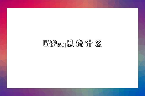 BitPay是指什么-圖1