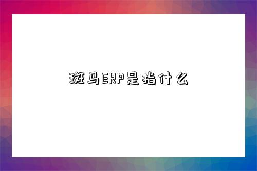 斑馬ERP是指什么-圖1