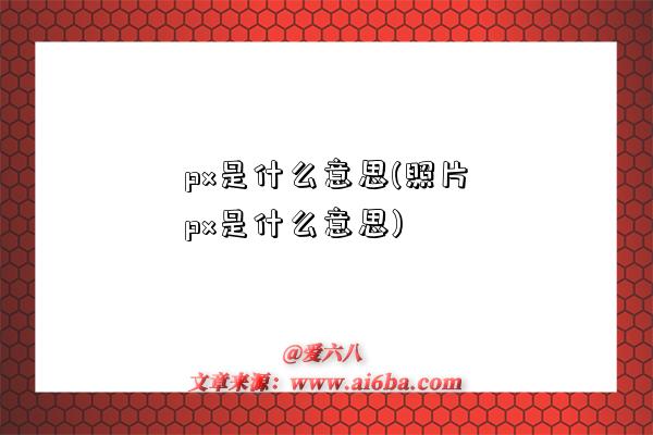 px是什么意思(照片px是什么意思)-圖1