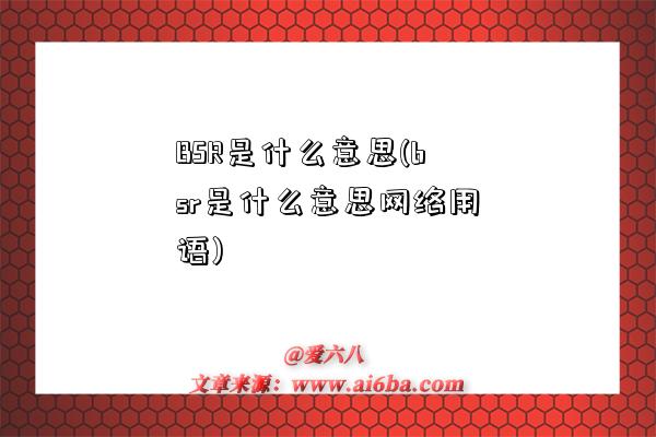 BSR是什么意思(bsr是什么意思網絡用語)-圖1