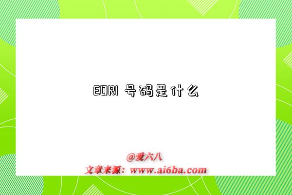 EORI 號碼是什么-圖1