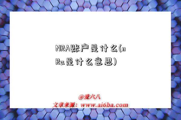 NRA賬戶是什么(nRa是什么意思)-圖1