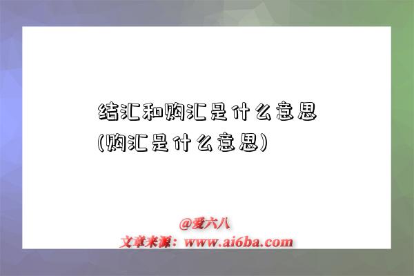 結匯和購匯是什么意思(購匯是什么意思)-圖1