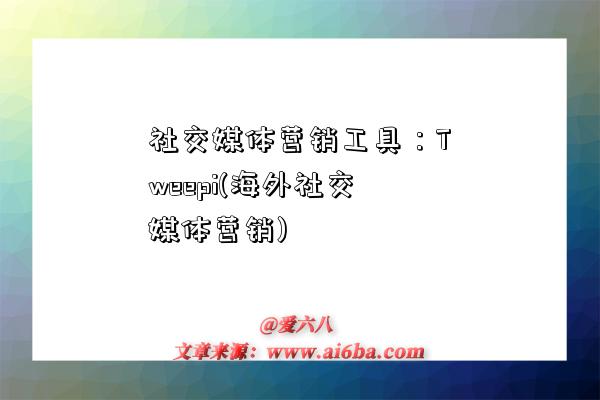 社交媒體營銷工具：Tweepi(海外社交媒體營銷)-圖1