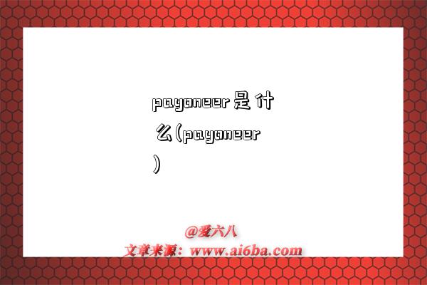 payoneer是什么(payoneer)-圖1