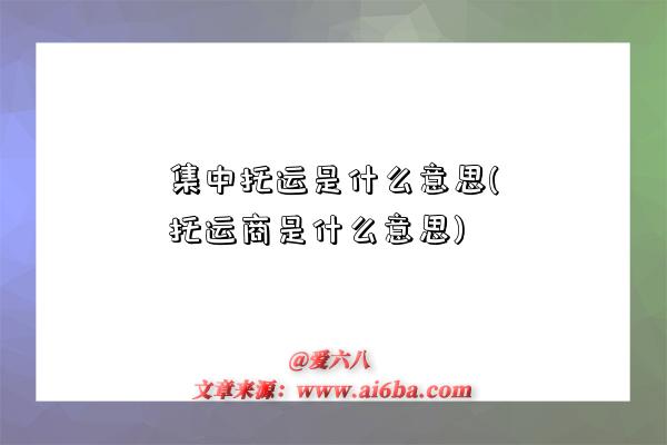 集中托運是什么意思(托運商是什么意思)-圖1