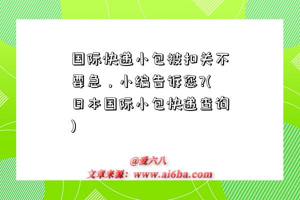 國際快遞小包被扣關不要急，小編告訴您?(日本國際小包快遞查詢)-圖1