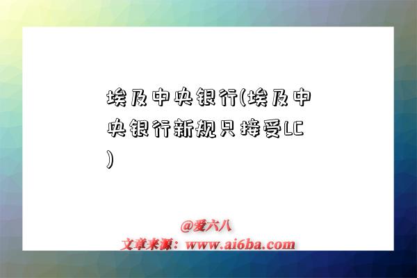 埃及中央銀行(埃及中央銀行新規只接受LC)-圖1