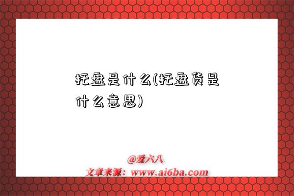 托盤是什么(托盤貨是什么意思)-圖1