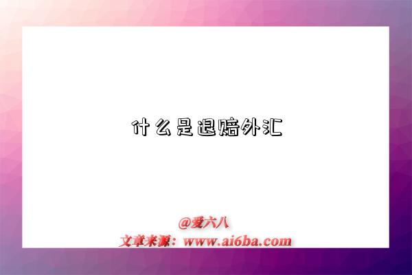 什么是退賠外匯-圖1