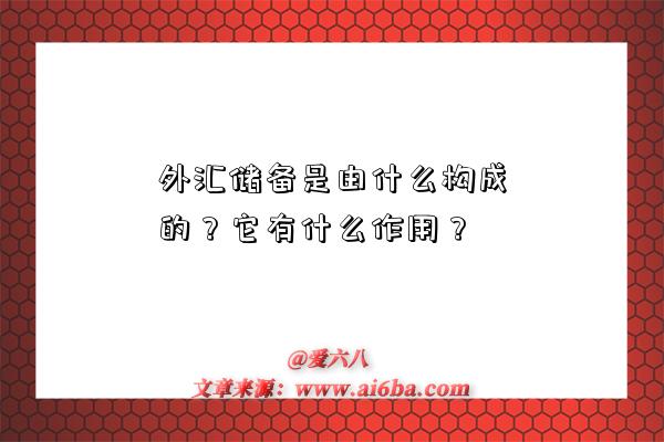 外匯儲備是由什么構成的？它有什么作用？-圖1