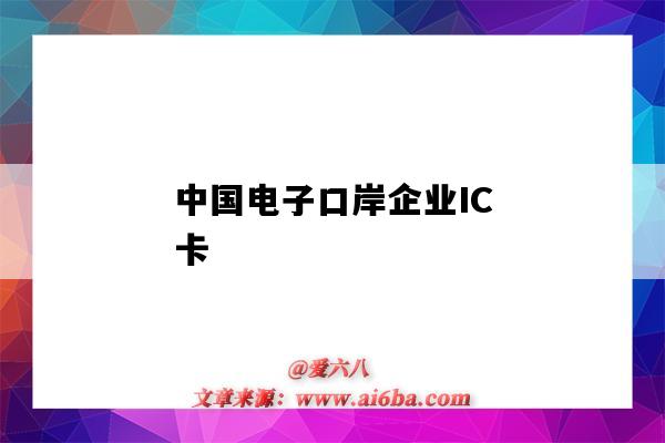 中國電子口岸企業IC卡-圖1