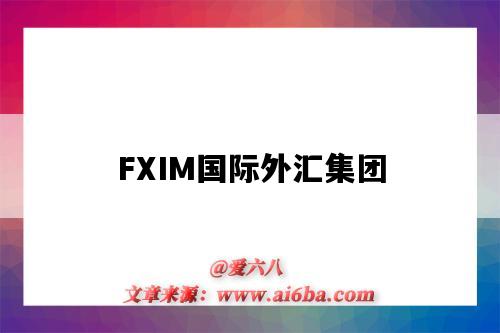 FXIM國際外匯集團-圖1