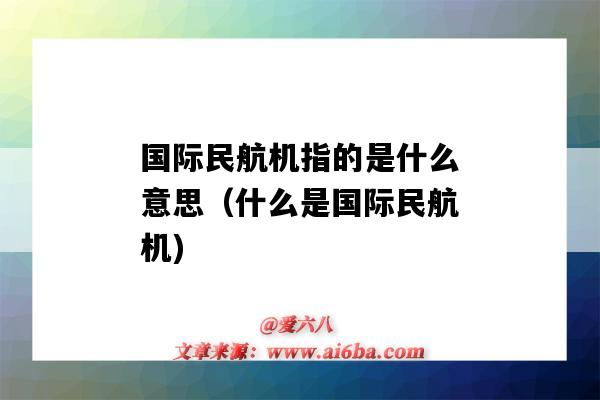 國際民航機指的是什么意思（什么是國際民航機)-圖1