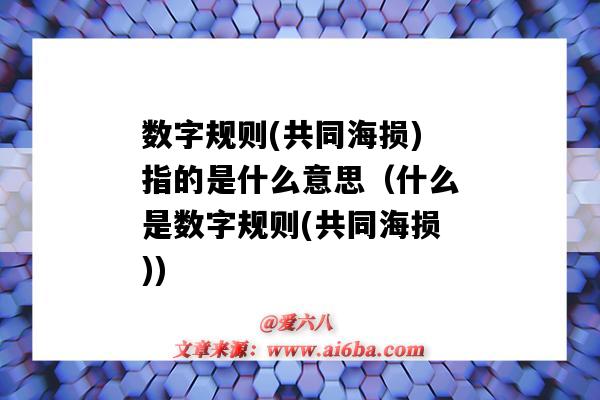 數字規則(共同海損)指的是什么意思（什么是數字規則(共同海損))-圖1