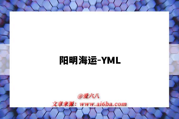 陽明海運-YML（陽明海運YML）-圖1