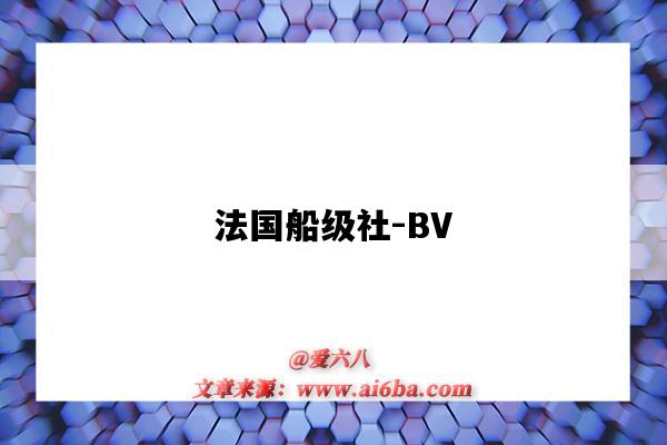 法國船級社-BV（法國船級社bv上海 怎么樣）-圖1