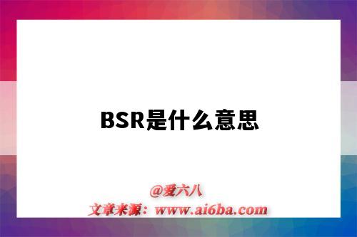 BSR是什么意思（藍天救援bsr是什么意思）-圖1