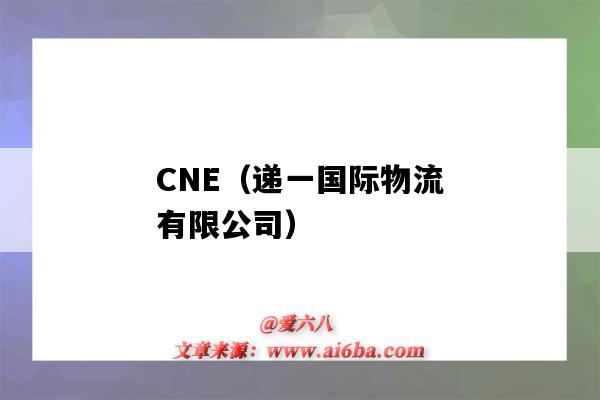 CNE（遞一國際物流有限公司）（cne遞一國際物流官網）-圖1