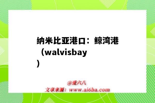 納米比亞港口：鯨灣港（walvisbay）（鯨港灣 納米比亞）-圖1