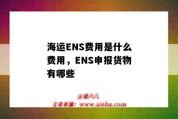 海運ENS費用是什么費用，ENS申報貨物有哪些（海運ENS是什么費用）-圖1