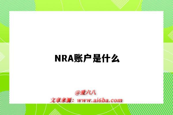 NRA賬戶是什么（nra賬戶是什么意思）-圖1