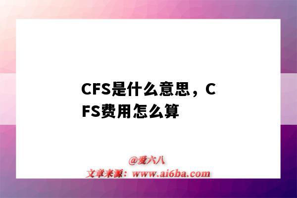 CFS是什么意思，CFS費用怎么算（CFS費用是什么意思）-圖1