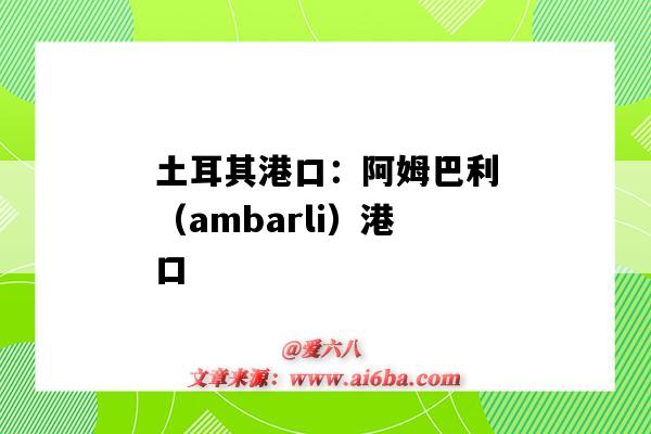 土耳其港口：阿姆巴利（ambarli）港口（ambarli 土耳其什么港口）-圖1