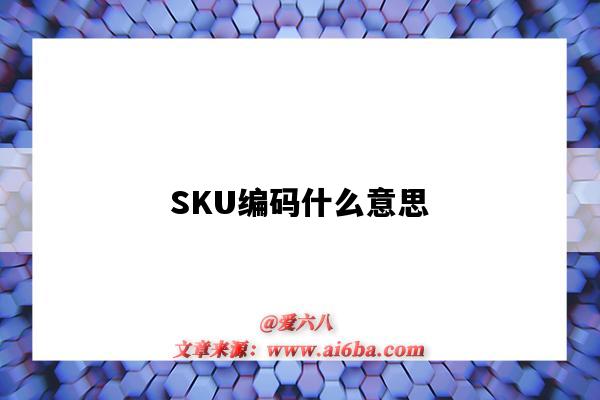 SKU編碼什么意思（快手sku編碼什么意思）-圖1