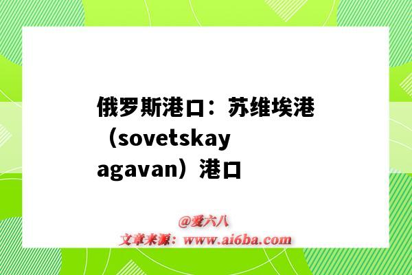 俄羅斯港口：蘇維埃港（sovetskayagavan）港口（俄羅斯瓦尼諾港口）-圖1