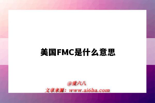 美國FMC是什么意思（美國fmc）-圖1