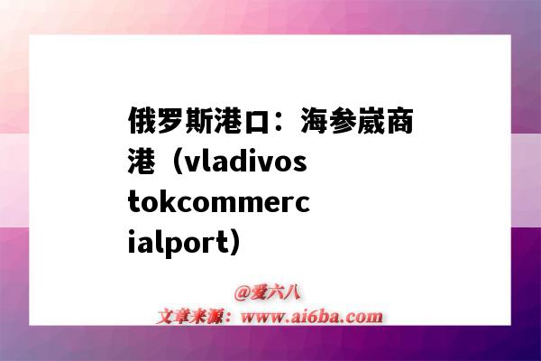 俄羅斯港口：海參崴商港（vladivostokcommercialport）（海參崴 港口）-圖1