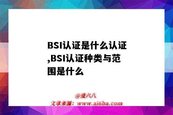 BSI認證是什么認證,BSI認證種類與范圍是什么（bsci認證是什么認證）-圖1