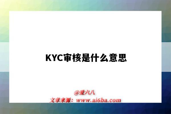 KYC審核是什么意思（亞馬遜kyc審核是什么意思）-圖1