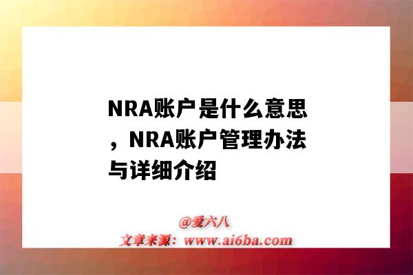 NRA賬戶是什么意思，NRA賬戶管理辦法與詳細介紹（nra賬戶是指）-圖1