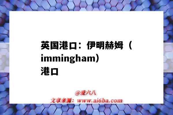 英國港口：伊明赫姆（immingham）港口（英國伊明赫姆港口圖）-圖1