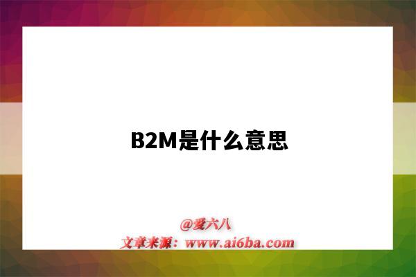 B2M是什么意思（駕駛證b2m是什么意思）-圖1