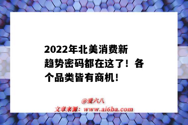 2022年北美消費新趨勢密碼都在這了！各個品類皆有商機?。ㄈ蛭磥硐M新趨勢）-圖1