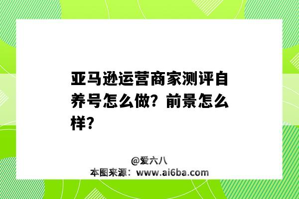 亞馬遜運營商家測評自養號怎么做？前景怎么樣？（亞馬遜自養號測評流程）-圖1