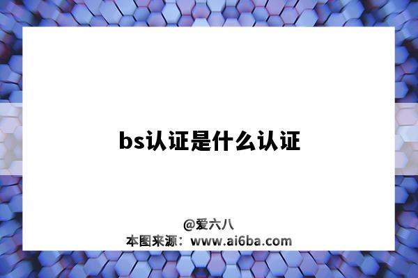 bs認證是什么認證（bsci認證是什么認證）-圖1