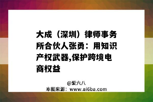 大成（深圳）律師事務所合伙人張勇：用知識產權武器,保護跨境電商權益-圖1