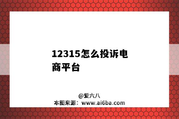 12315怎么投訴電商平臺（12315怎么投訴電商平臺里的商家）-圖1