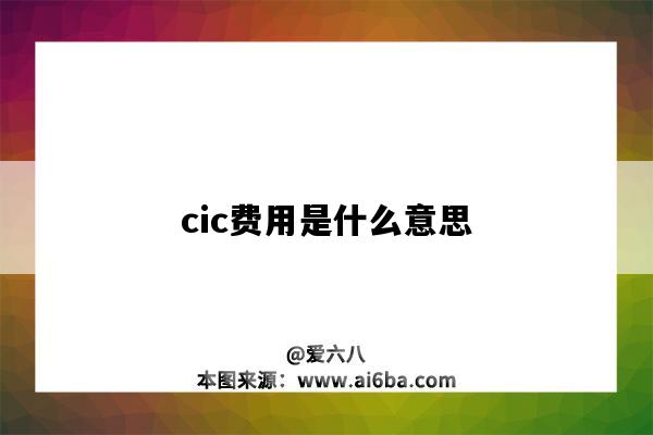 cic費用是什么意思（CIC費用是什么意思）-圖1