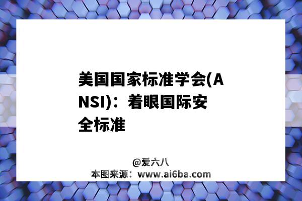 美國國家標準學會(ANSI)：著眼國際安全標準（美國國家標準學會(ANSI)）-圖1