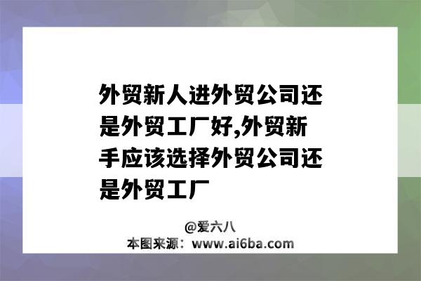 外貿新人進外貿公司還是外貿工廠好,外貿新手應該選擇外貿公司還是外貿工廠-圖1